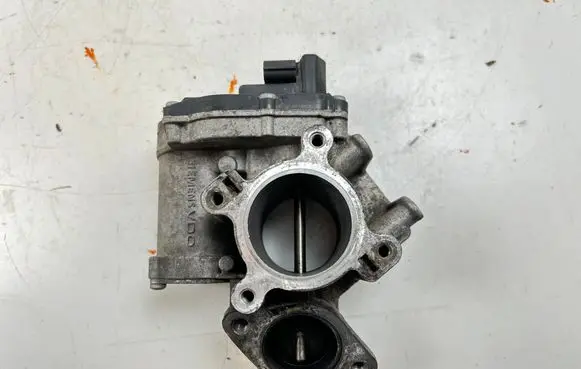 Renault Trafic II (X83) EGR valve 8200987088