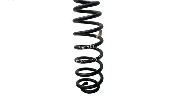 Rear coil spring