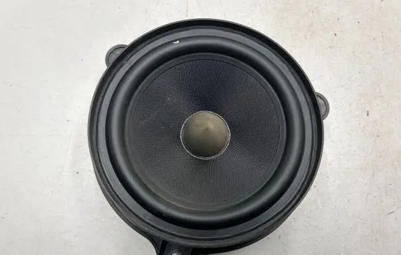 Renault Laguna III Rear door speaker