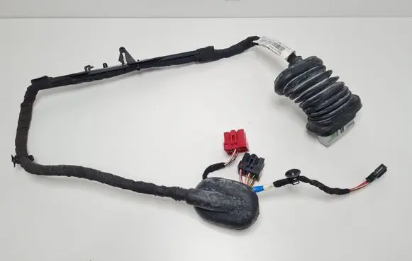 Rear door wiring loom