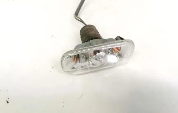 Front fender indicator light