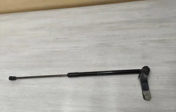 Tailgate/trunk strut/damper