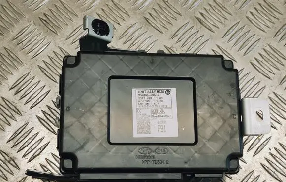 Hyundai Kona I Other control units/modules 954A0J9510