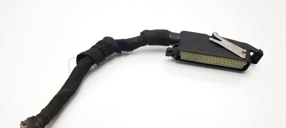 Mercedes-Benz C W202 Other wiring loom 1928402278 0005456581