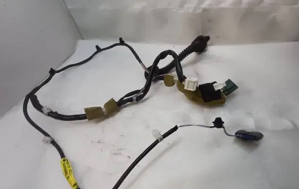 Rear door wiring loom