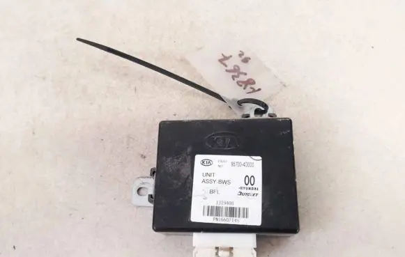 KIA Carnival Other control units/modules 957004d000 95700-4d000