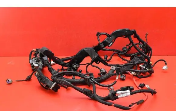 Other wiring loom