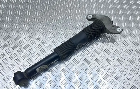 Jaguar E-Pace Rear shock absorber/damper J9C318080AF 20200