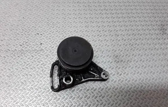 Audi A4 S4 B5 8D Air conditioning tensioner 058260511