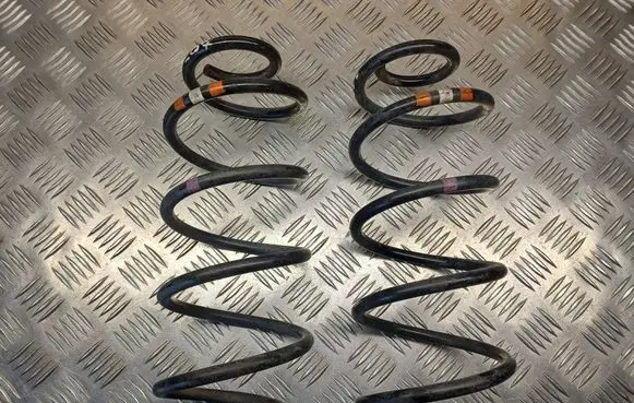 Rear coil spring