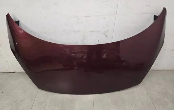 Renault Scenic III - Grand scenic III Engine bonnet/hood 