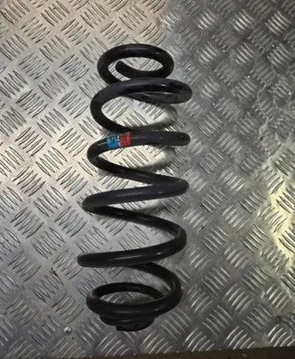 Rear coil spring