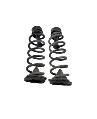 Renault Kadjar Rear coil spring
