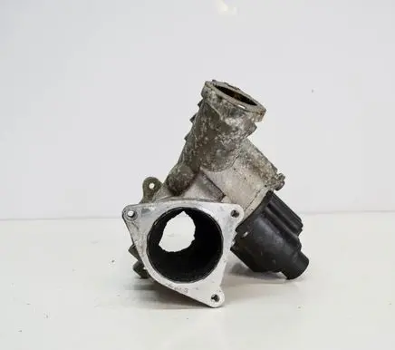 Volkswagen Polo EGR valve