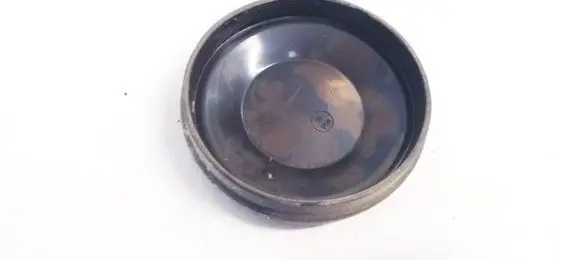 Renault Scenic II - Grand scenic II Headlight/headlamp dust cover 153874