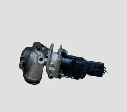 Ford Focus EGR valve 424590081
