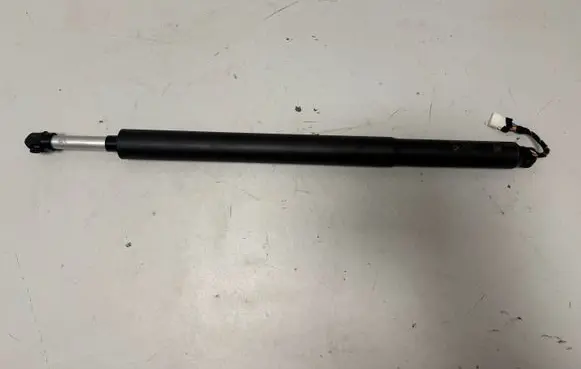 Tailgate/trunk strut/damper