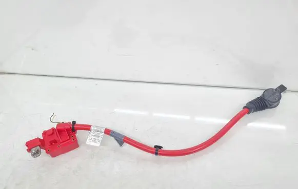 BMW 5 GT F07 Positive cable (battery) 9217036 10304410 9217034