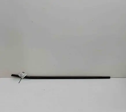BMW X6 E71 Front door glass trim molding 7187215