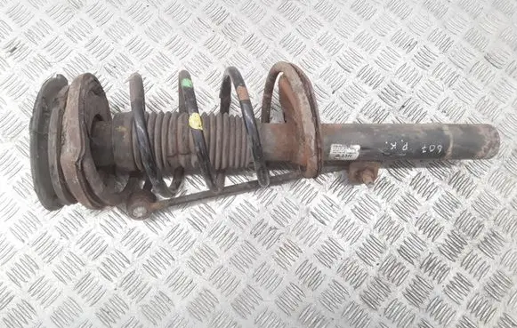 Peugeot 607 Front shock absorber with coil spring