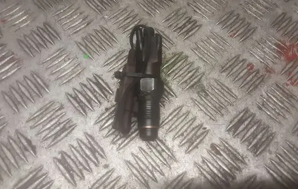 Citroen Berlingo Fuel injector LDCR02601AA1