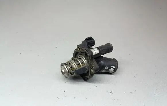 Thermostat/thermostat housing