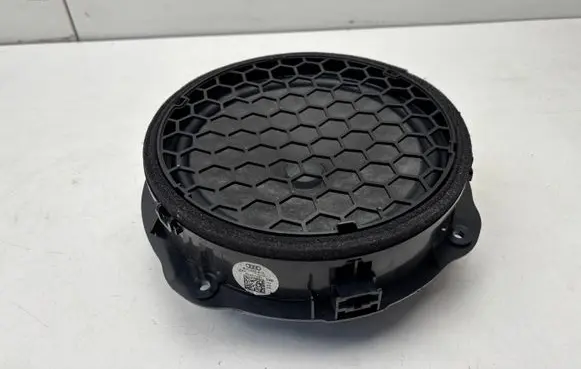 Front door speaker