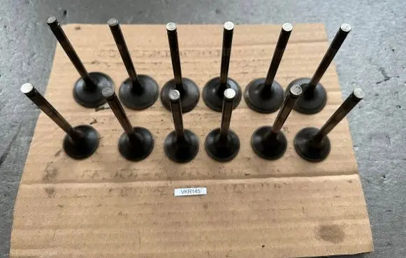 Nissan Patrol 260 Valve 13201-0Y000 13202-V7202