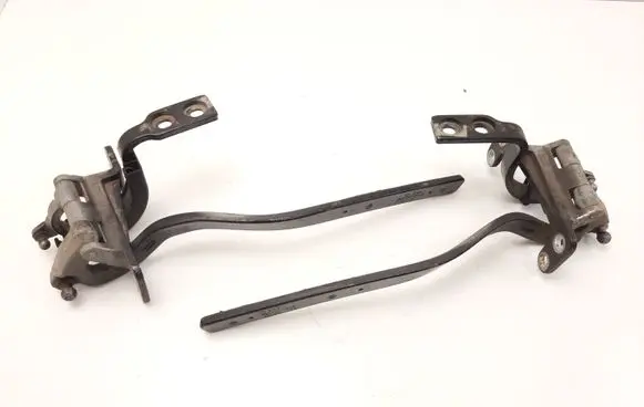 Volkswagen Touareg I Tailgate/trunk/boot hinge