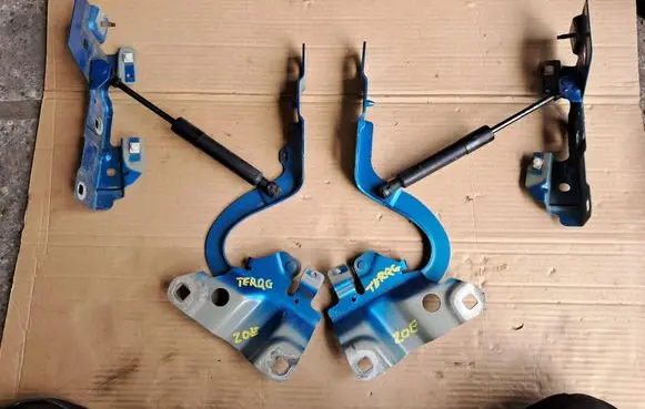 Renault Zoe Engine bonnet/hood hinges 654009955R 654825654R