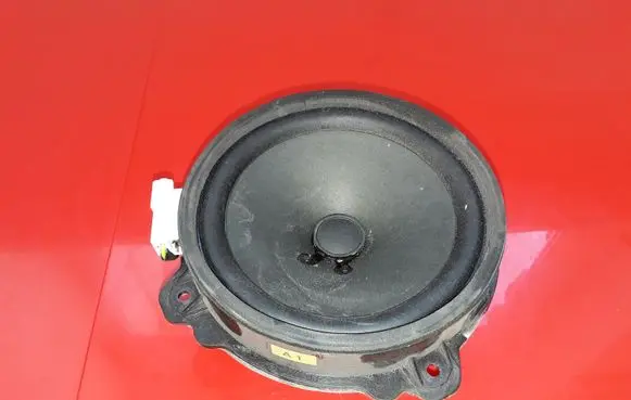 Chevrolet Captiva Rear door speaker 25907869