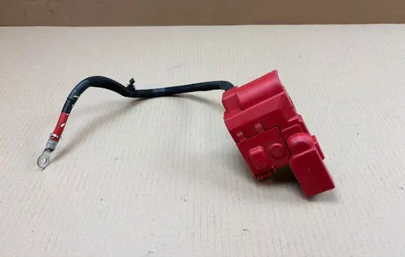 Ford Mustang Mach-E Positive cable (battery) LJ8T14A094BB