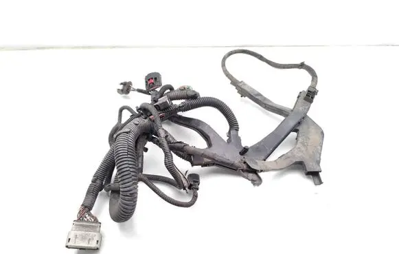 Tesla Model S Other wiring loom 100443093P
