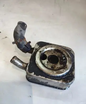 Oil filter mounting bracket