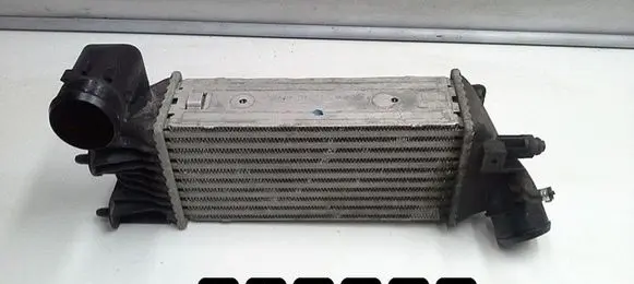 Citroen C5 Coolant radiator