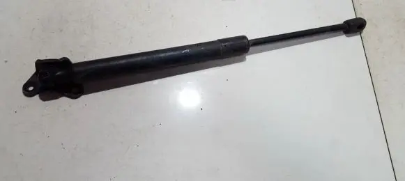 Tailgate/trunk strut/damper