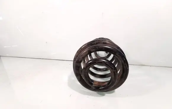Rear coil spring