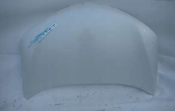 Toyota RAV 4 (XA40) Engine bonnet/hood