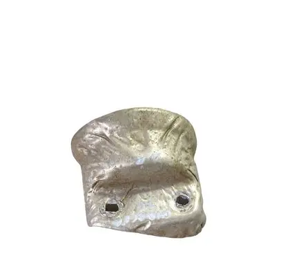 Dodge Charger Heat shield in engine bay 05090026AA