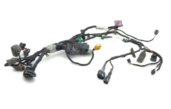 Front door wiring loom