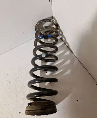 Rear coil spring