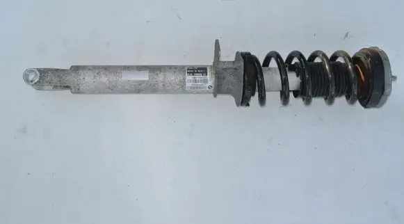BMW M5 Front shock absorber with coil spring 2284046