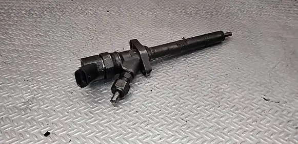 Peugeot 607 Fuel injector 0445110036