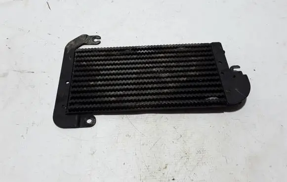Renault Trafic III (X82) Optional radiator 175104049R