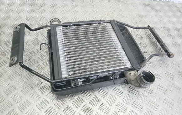 KIA Carens I Intercooler radiator 