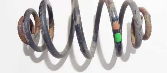 Volkswagen PASSAT B5 Rear coil spring
