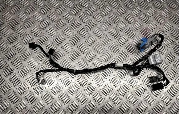 Chrysler Pacifica Other wiring loom FM315002