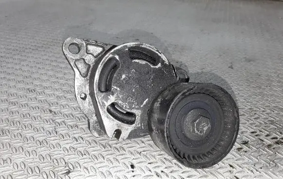 Renault Espace - Grand espace IV Generator/alternator belt tensioner 0802410121