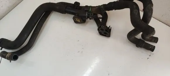 Thermostat/thermostat housing