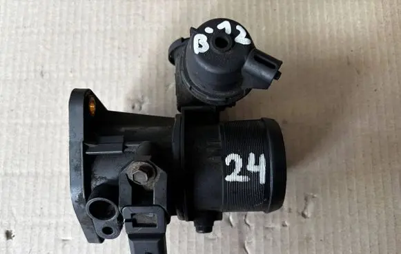 Peugeot Expert Throttle valve 9660110780